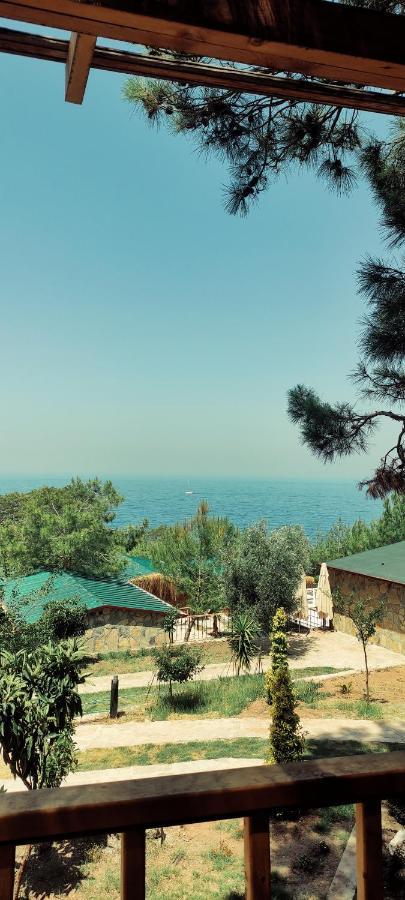 Rocas Roja Beach Hotel Фаралия Экстерьер фото